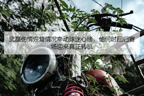 武磊伤情恢复情况牵动球迷心绪，他何时回归赛场迎来真正转机